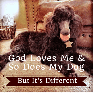 God Loves Me,And So Does My Dog. But 2
